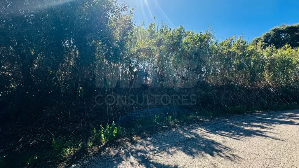 Terreno com 6.042 m² | Potencial de Construção | Santa Bárbara, Lourinhã