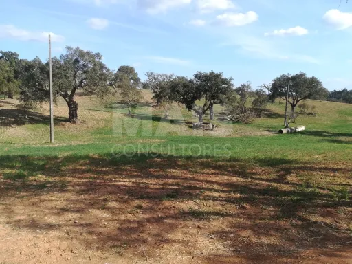 Herdade para Construção com 30 Hectares em Santiago do Cacém, Setúbal