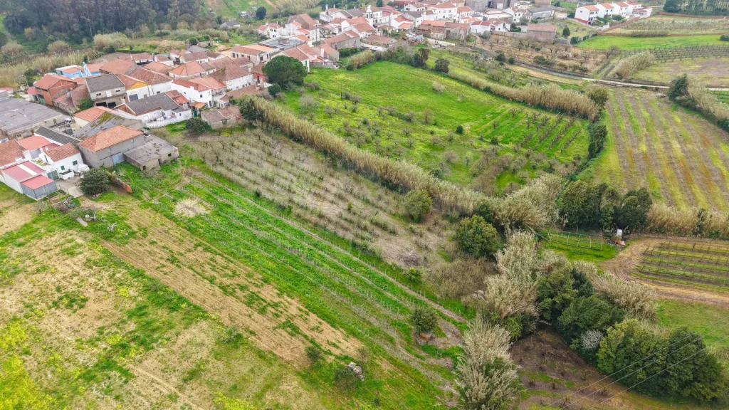 Terreno no centro da Usseira