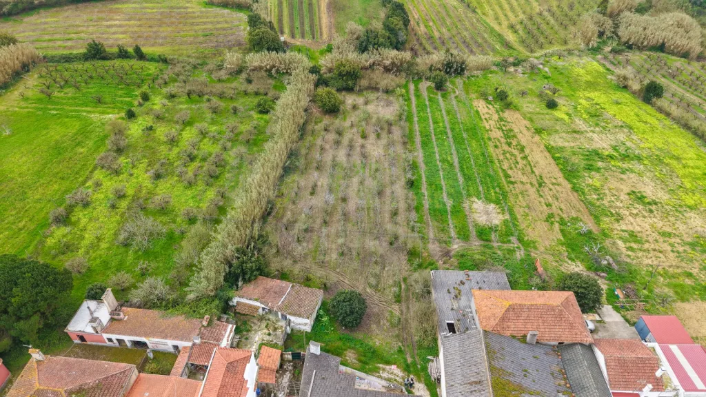 Terreno no centro da Usseira