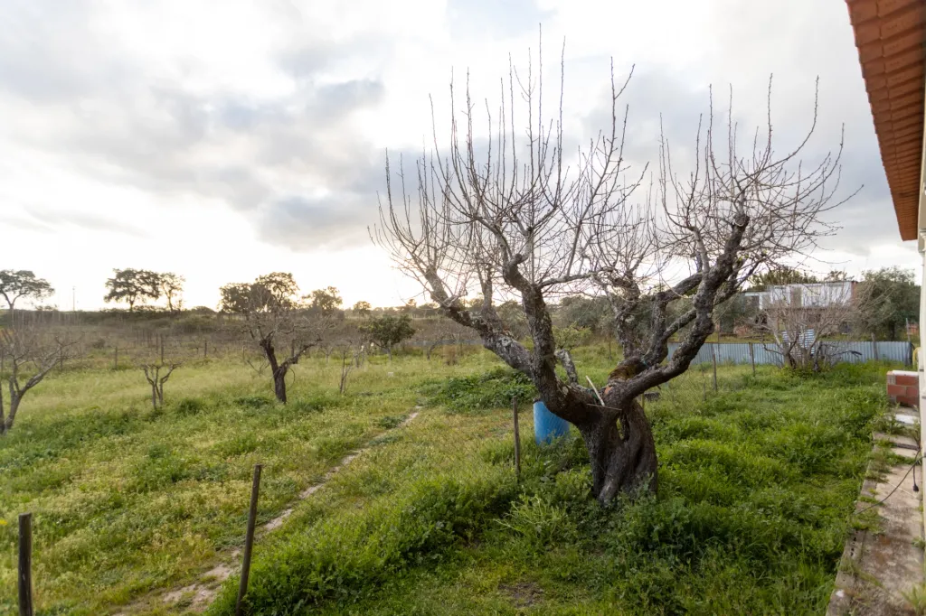 Moradia Térrea V3 com terreno urbano de 3780m2 no Alentejo