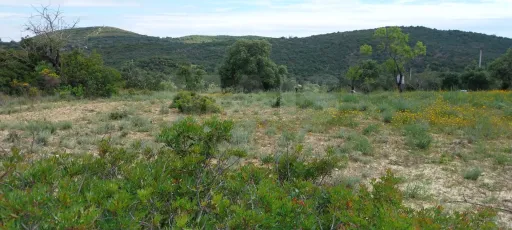 Lote de terreno Rustico