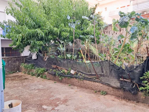 Armazém com Logradouro e Duas Entradas Principais - Centro de Castelo Branco