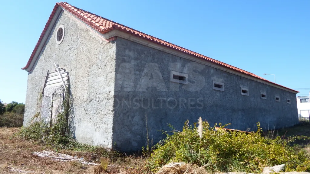 Quinta com Adega | 37.500 m² | Atouguia da Baleia, Peniche