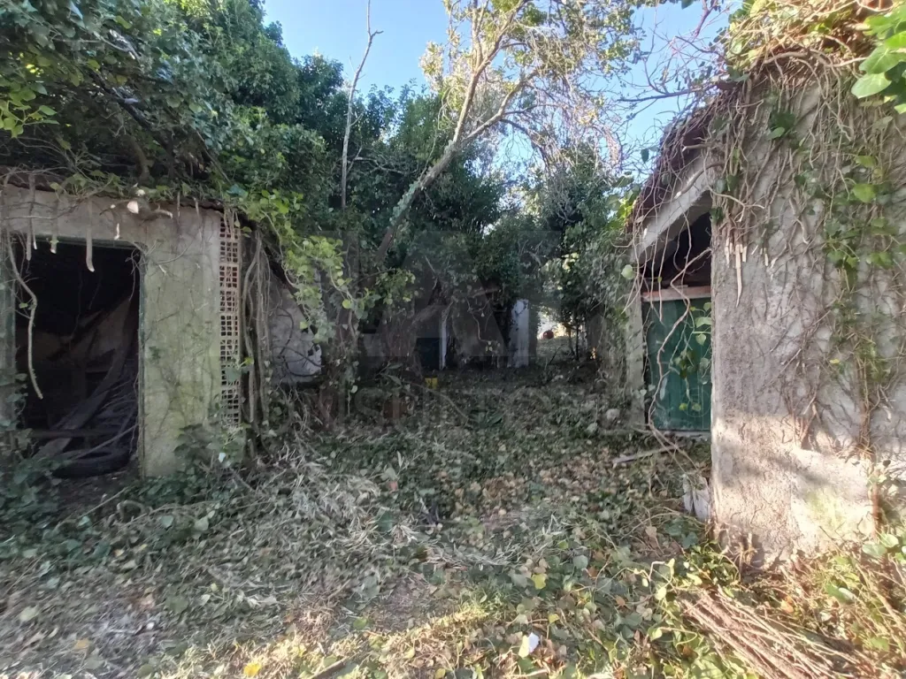Terreno Misto com Ruina em TORRES NOVAS