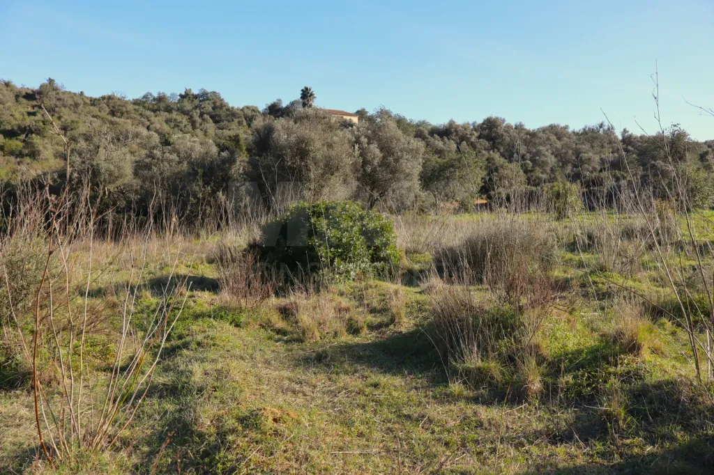 Terreno Rustico em Porches