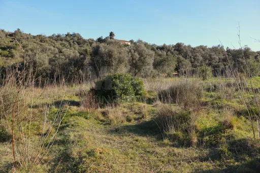 Terreno Rustico em Porches