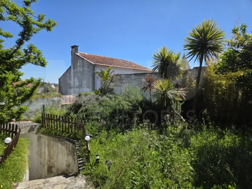 Prédio no Centro de Torres Novas com Jardim e Forte Potencial para constituição de Propriedade Horizontal com elevada rentabilidade de investimento