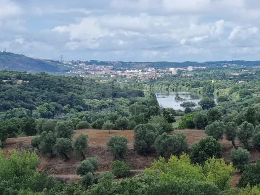 QUINTA, em  Casas Novas  - MOURISCAS -ABRANTES