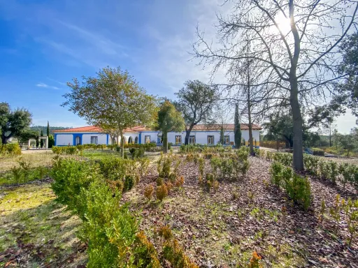 Charmosa Quinta de Turismo Rural em Almeirim