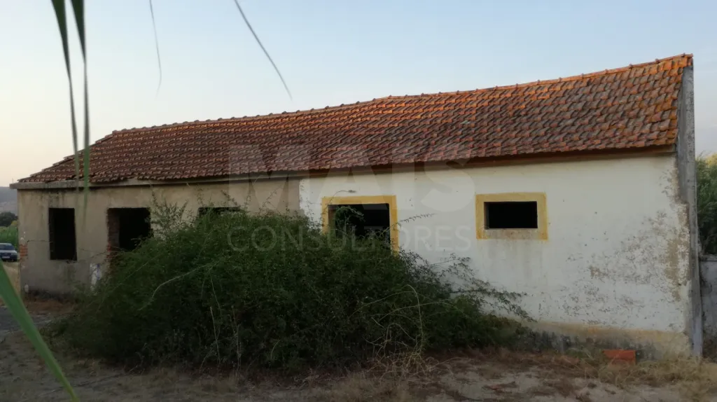 Quinta com moradia para recuperar na zona de Abrantes