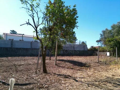 Terreno Rústico, Quinta da Oliva - Charneca da Caparica