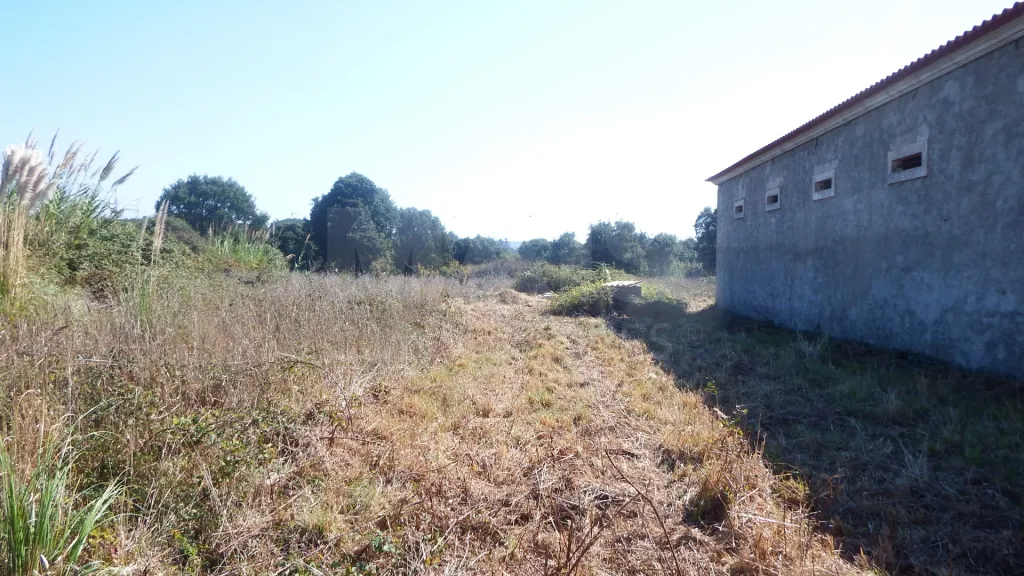 Quinta com Adega | 37.500 m² | Atouguia da Baleia, Peniche