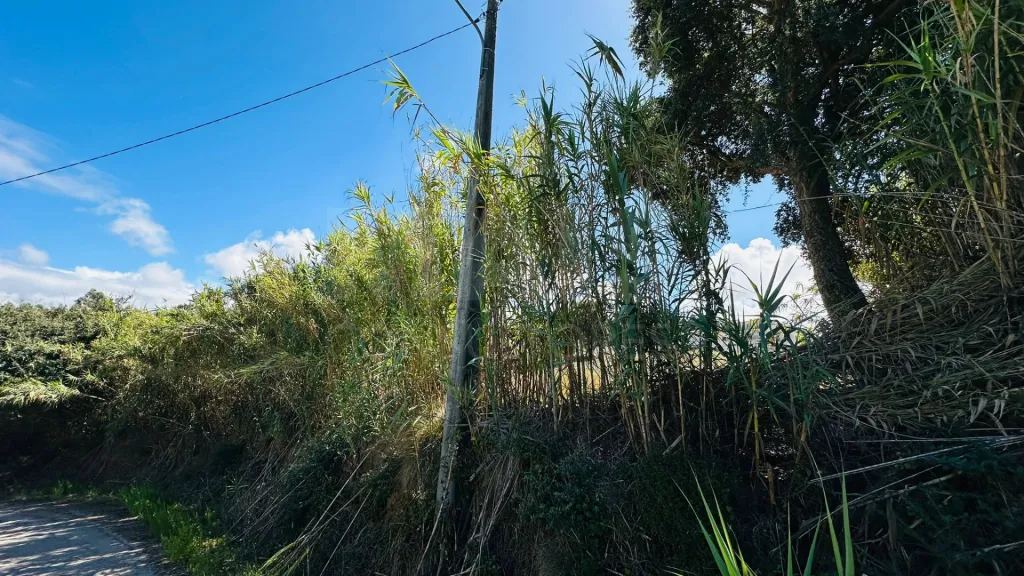 Terreno com 6.042 m² | Potencial de Construção | Santa Bárbara, Lourinhã