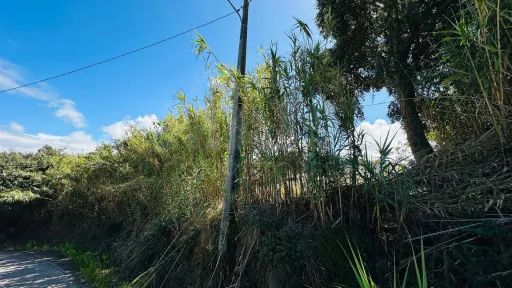 6,042 m² Lot | Building Potential | Santa Bárbara, Lourinhã
