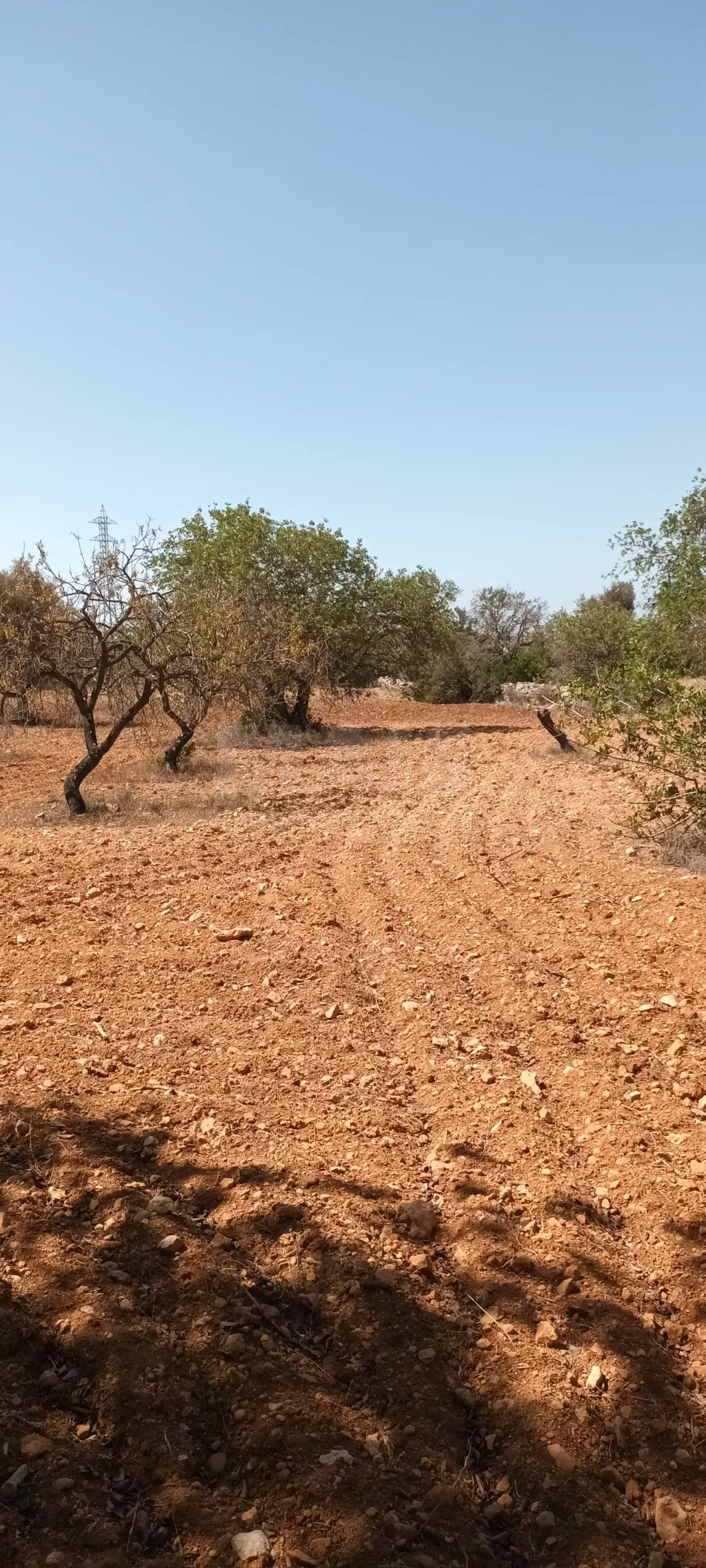 Terreno urbano com ruina / rustico