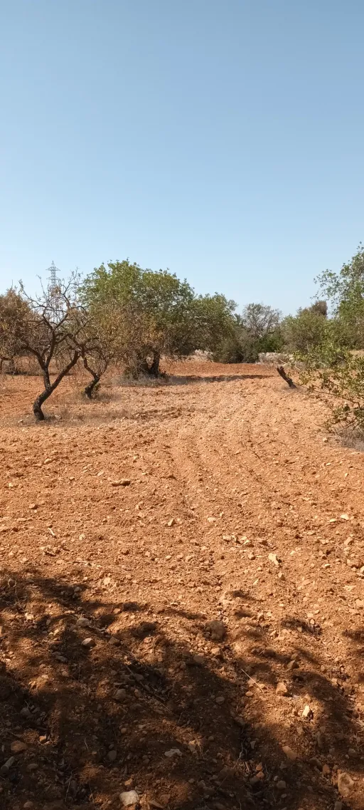 Terreno urbano com ruina / rustico