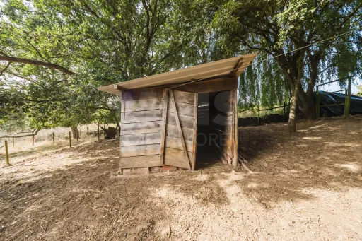 Propriedade única, a apenas 2 km de Alcobaça, com mais de 30.000 m² de terreno