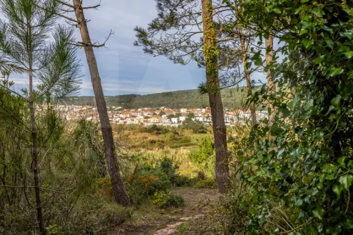 Refúgio Exclusivo na Foz do Arelho: Uma Oportunidade Única de Preservação e Natureza