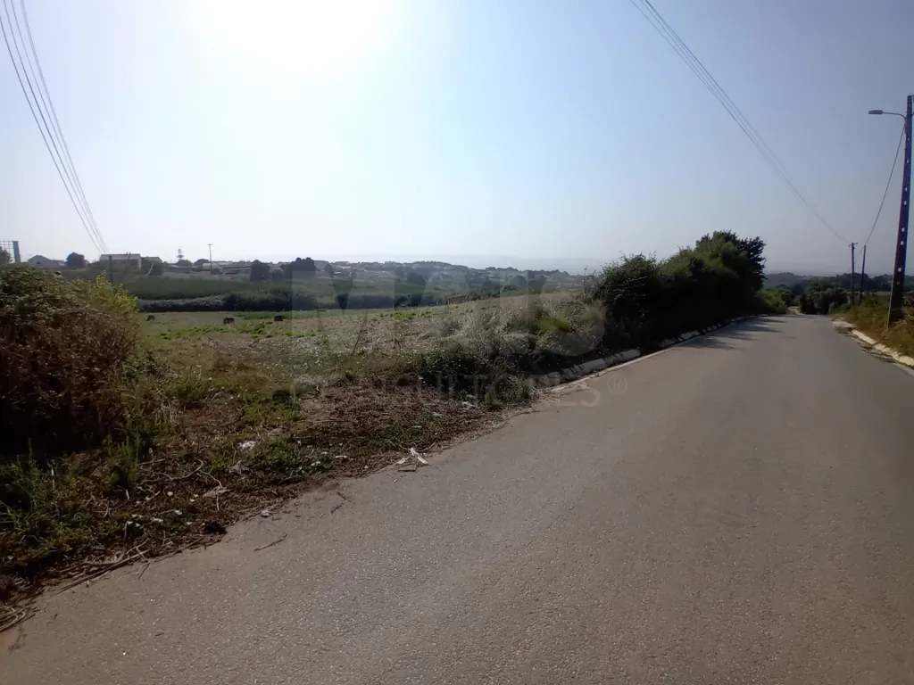 Terreno urbanizável 8.000 m² Alcobaça e Vestiaria, Alcobaça