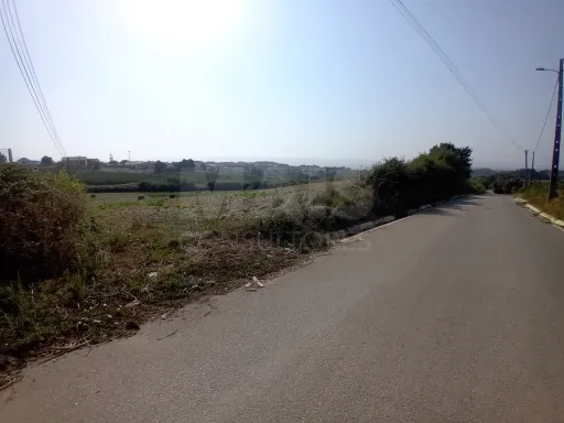 Terreno urbanizável 8.000 m² Alcobaça e Vestiaria, Alcobaça