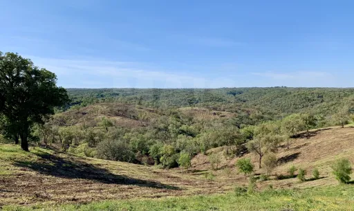 Herdade  com 40,85 hectares em São Bartolomeu da Serra, Santiago do Cacém