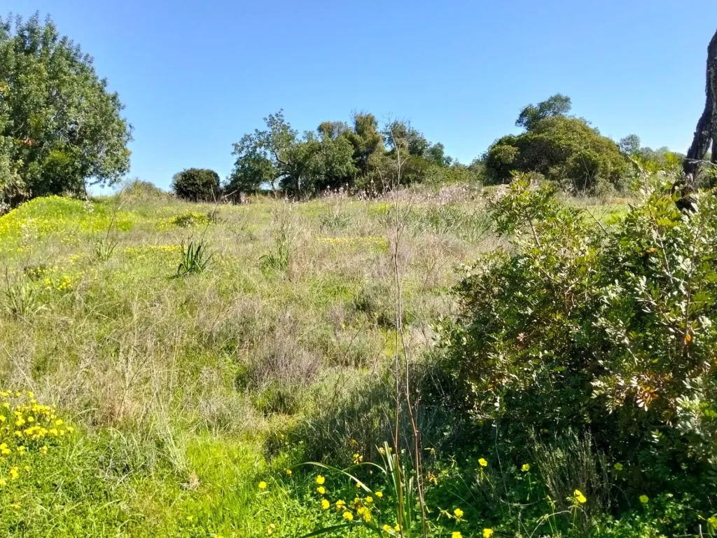 Lote de Terreno Rustico