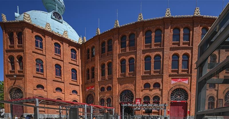 Campo Pequeno: A Montanha-Russa da Falência e as Novas Esperanças Financeiras!