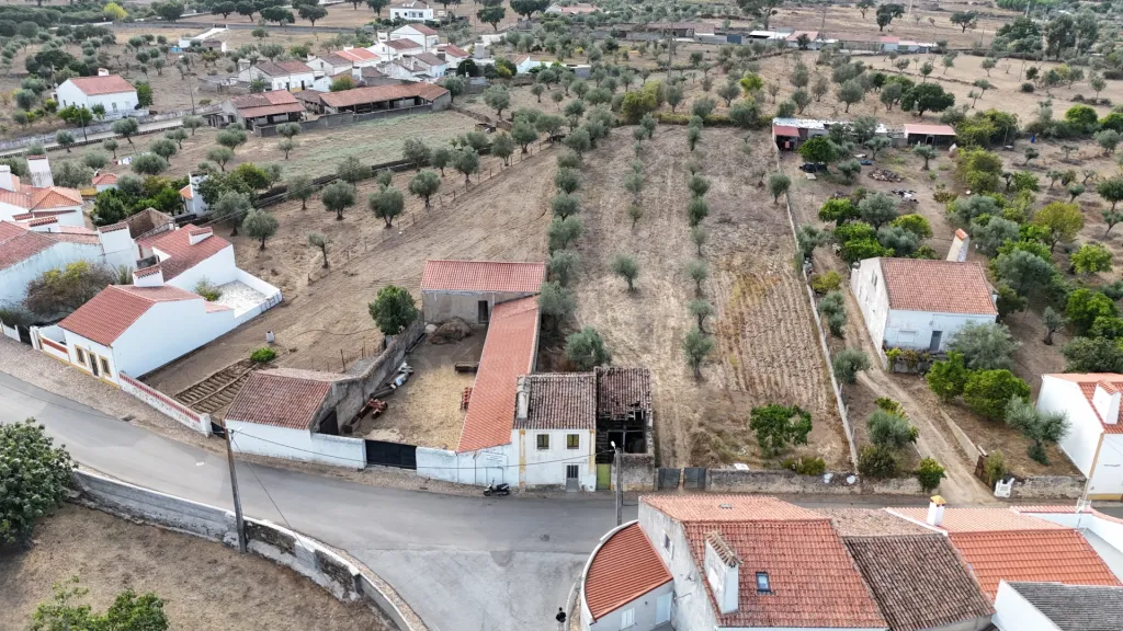 Terreno para construção com Moradia V2 em Nisa