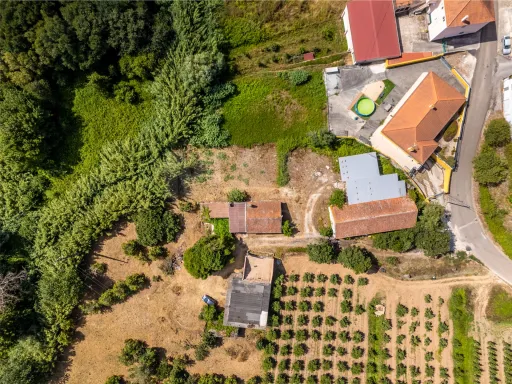 Reabilitação de Adega com Projeto Aprovado para Moradia T4 (*Possibilidade de Entrega Chave na Mão)