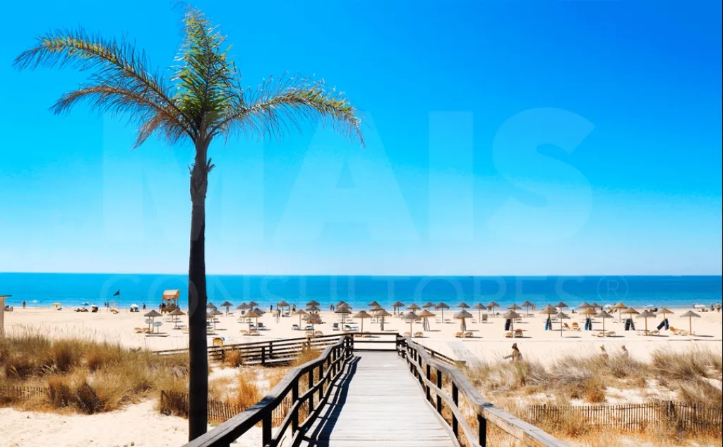 Restaurante de praia e concessão completa - Meia Praia - Lagos