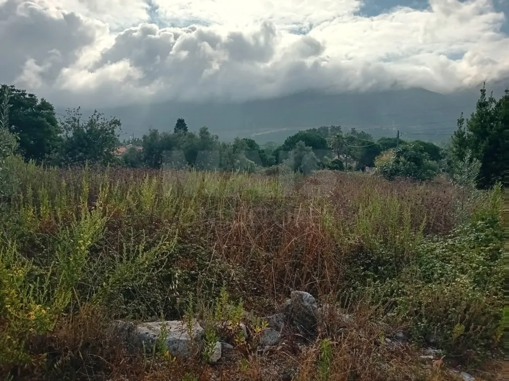 Terreno urbanizável de 1.712 m² com projeto aprovado para duas moradias - Alcobaça