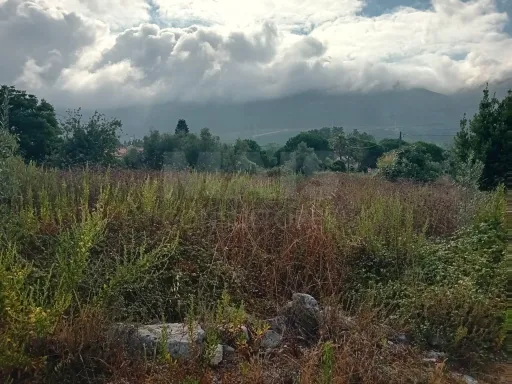 Developable land of 1.712 m² with approved project for two houses - Alcobaça