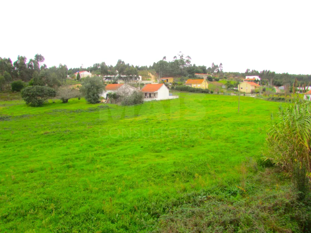 Terreno Urbanizável - 1,7ha - Torres Vedras - Ramalhal