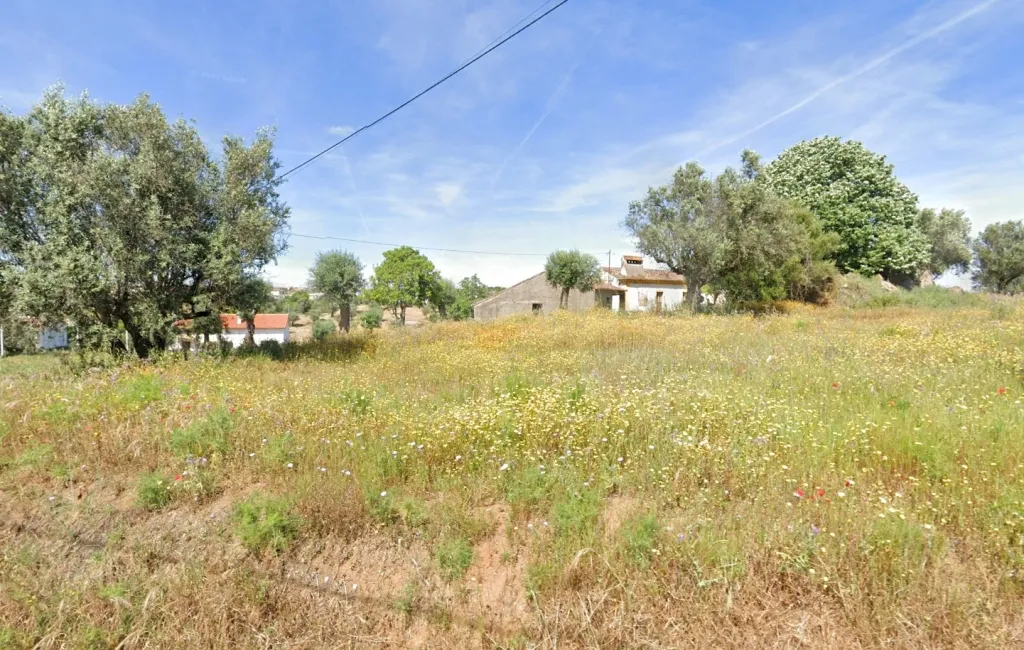 Casa para Recuperar com Terreno 3.200m² – Ferrasteira, Mouriscas