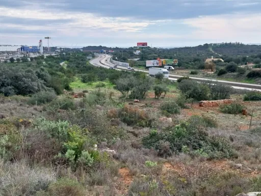 Bonito lote de terreno Rustico