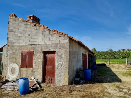 Quintinha com 6,2 Hectares, Água Abundante e 902 m² de Construção em Torres Novas