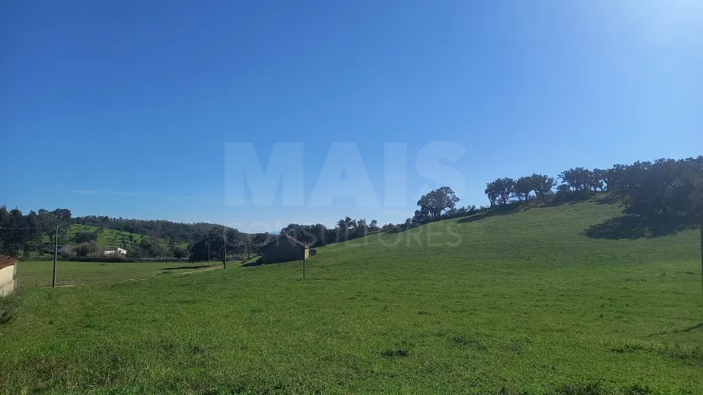 Herdade de 30 hectares em Cercal do Alentejo, Santiago do Cacém, Setúbal