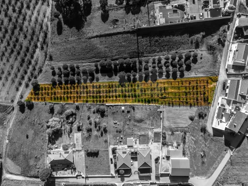 Urbanizable rustic land in Estorninho, Bombarral