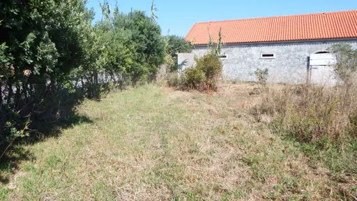 Quinta com Adega | 37.500 m² | Atouguia da Baleia, Peniche