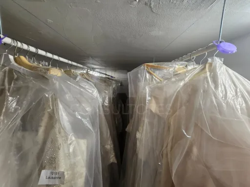 Angel Brides Trespasse