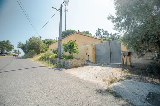 Quintinha T3 com 7.616 m² de terreno urbano e anexos (Casal do Rei)