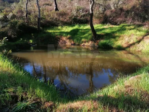Herdade  com 40,85 hectares em São Bartolomeu da Serra, Santiago do Cacém