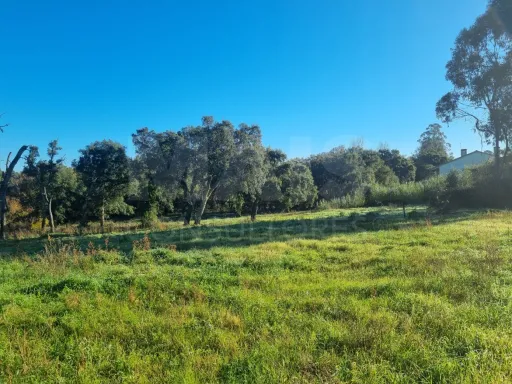 Terreno com Ruina SAO PEDRO DE TOMAR