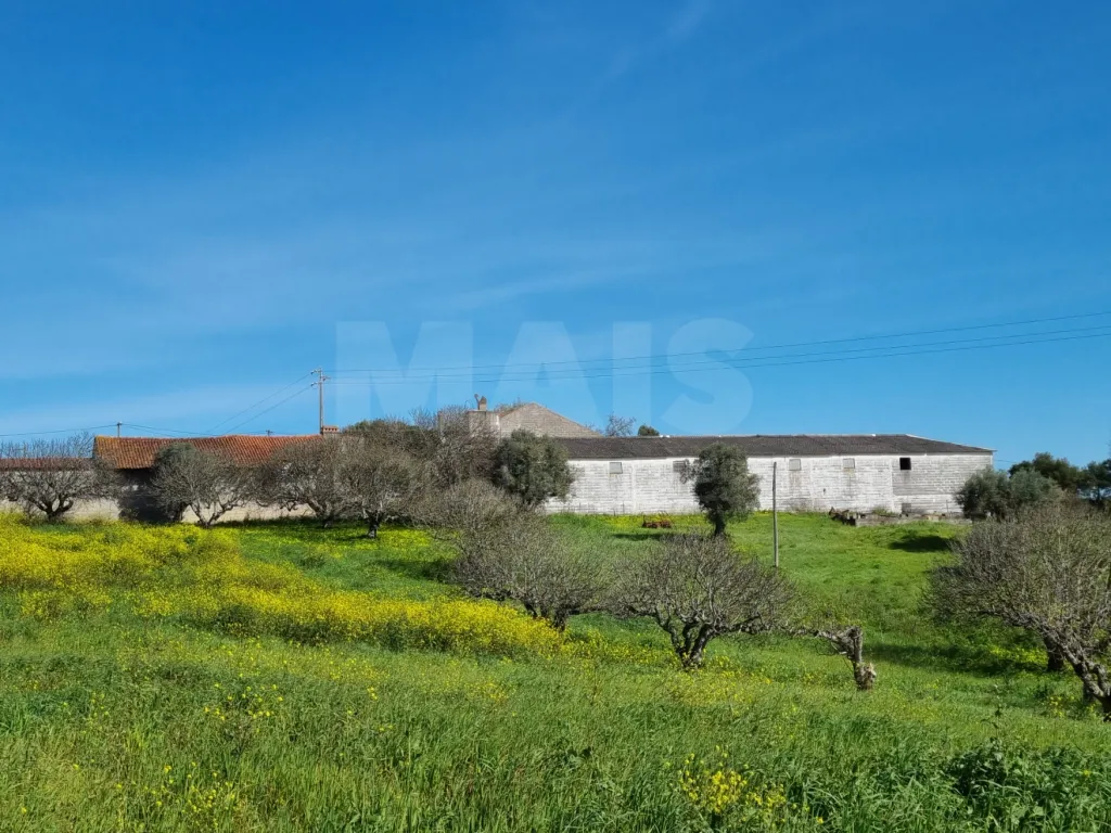 Small Farm with 6.2 Hectares, Abundant Water and 902 m² of Construction in Torres Novas