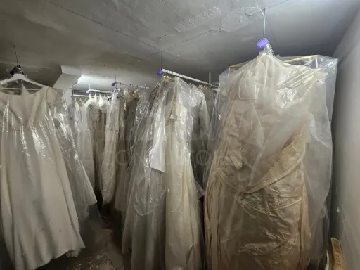 Angel Brides Trespasse