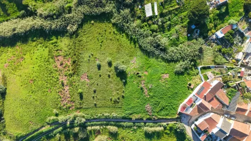 Terreno para Construção com Projeto aprovado - 10 minutos de Torres Vedras