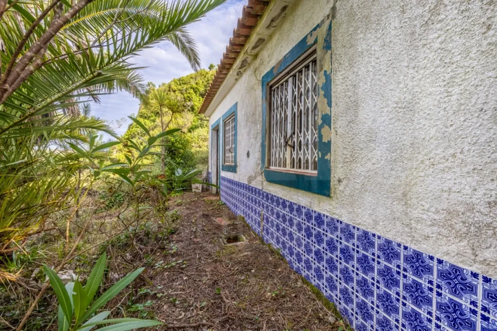 Refúgio Exclusivo na Foz do Arelho: Uma Oportunidade Única de Preservação e Natureza