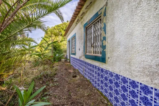 Refúgio Exclusivo na Foz do Arelho: Uma Oportunidade Única de Preservação e Natureza