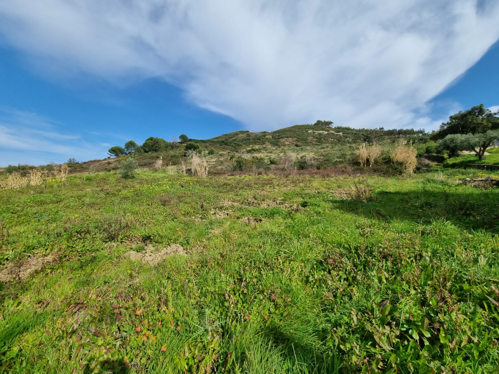 Moradia em Ruina, com Terreno de 48mil m2 em Santo Quintino